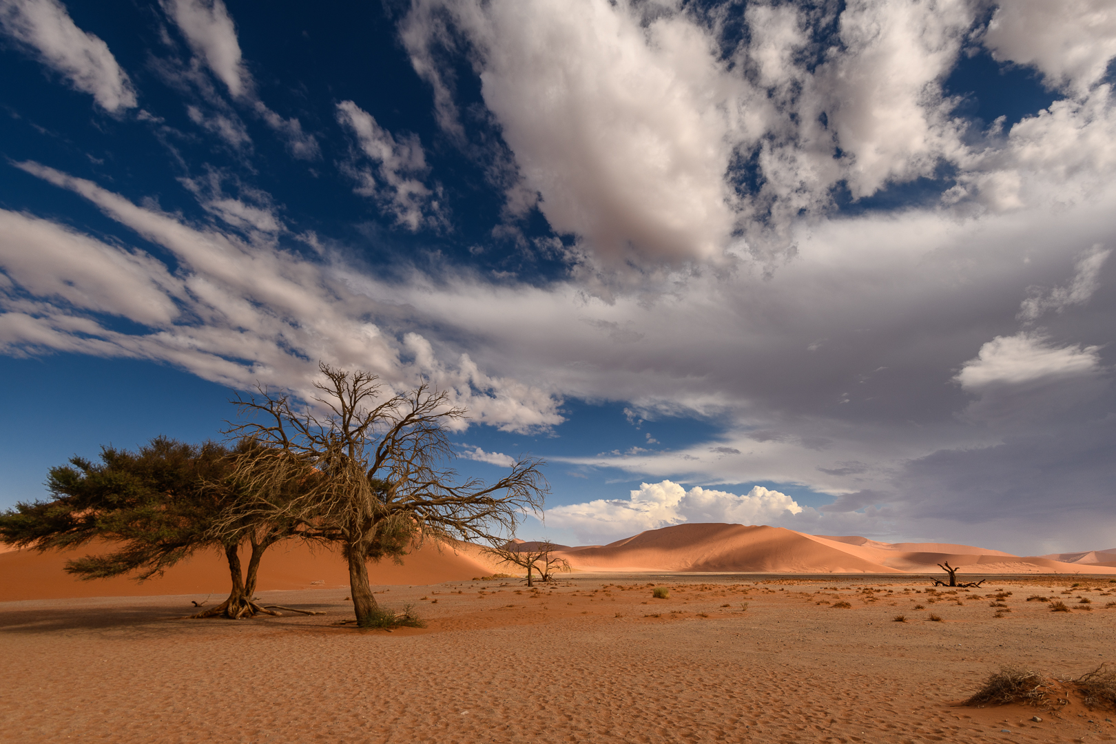 african dream travel namibia